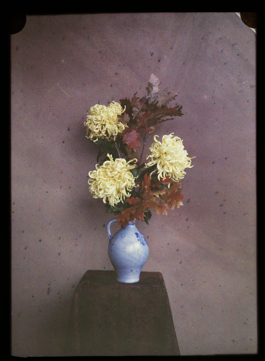 Blomster (asters) i en vase av C.W. Immink