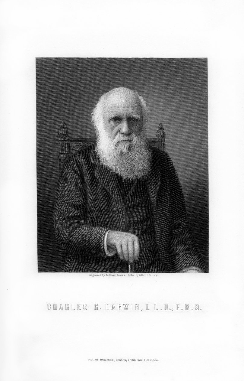 Charles Darwin , britisk naturforsker, 1899. av C. Cook