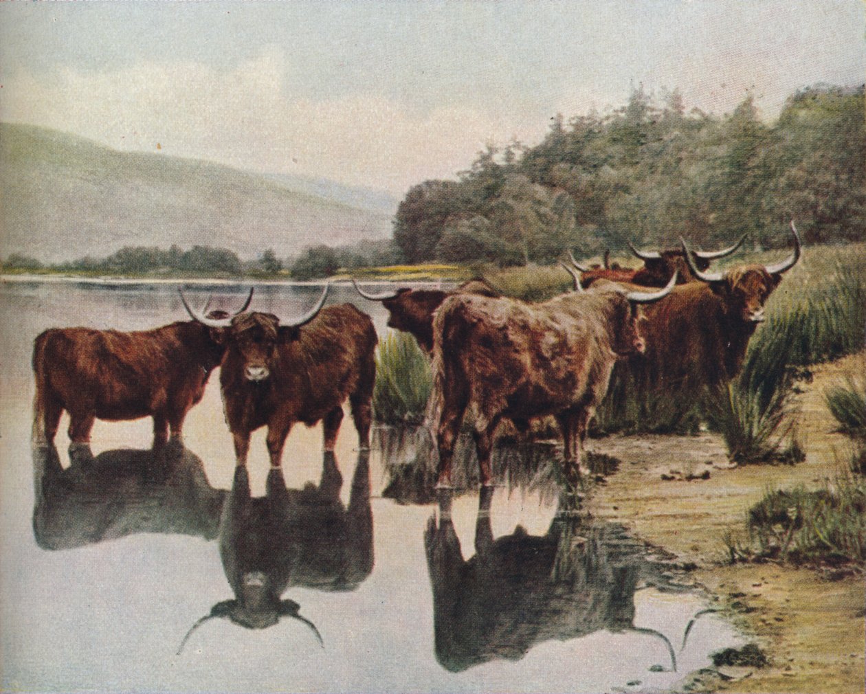 Skottland, ca 1930-tallet av C. Reid