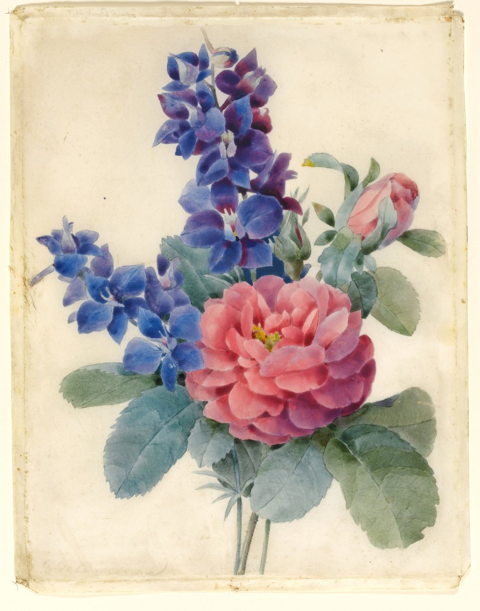 Blomster, roser og lerkespore (wc og kroppsfarge på vellum) av Camile de Chanteraine