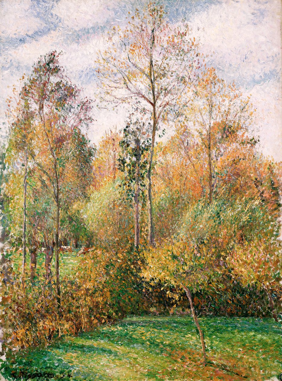 Høst, Poplars, Eragny av Camille Jacob Pissarro