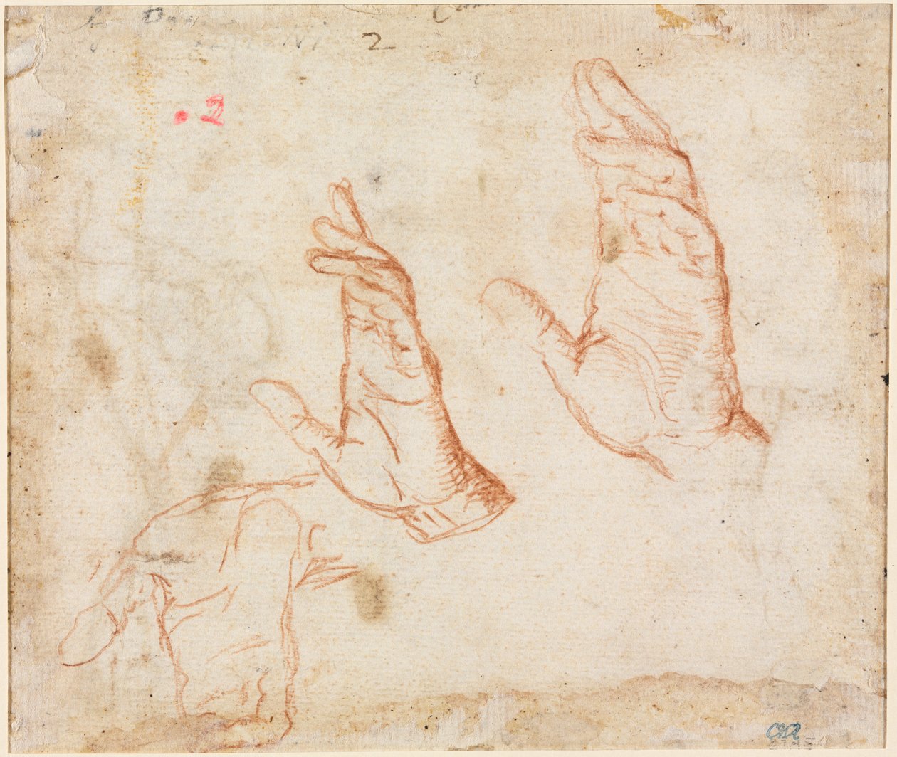Studie av hender (verso) av Camillo Procaccini