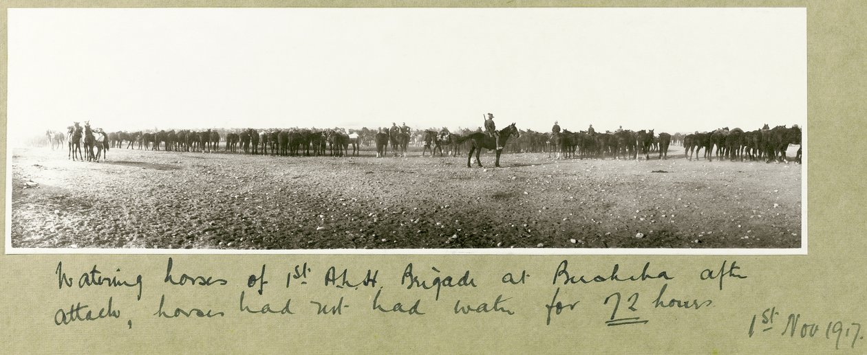 Vanning av hester av 1. A.L.H. Brigade i Beersheba etter angrep, hester hadde ikke hatt vann på 72 timer, 1. november 1917 av Capt. Arthur Rhodes