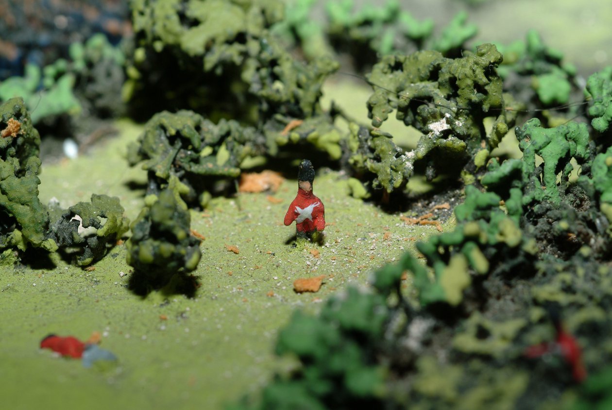 Diorama fra slaget ved Waterloo som viser tropper plassert kl. 19.45 den 18. juni 1815 (blandet media) (detaljer) av Capt. William Siborne