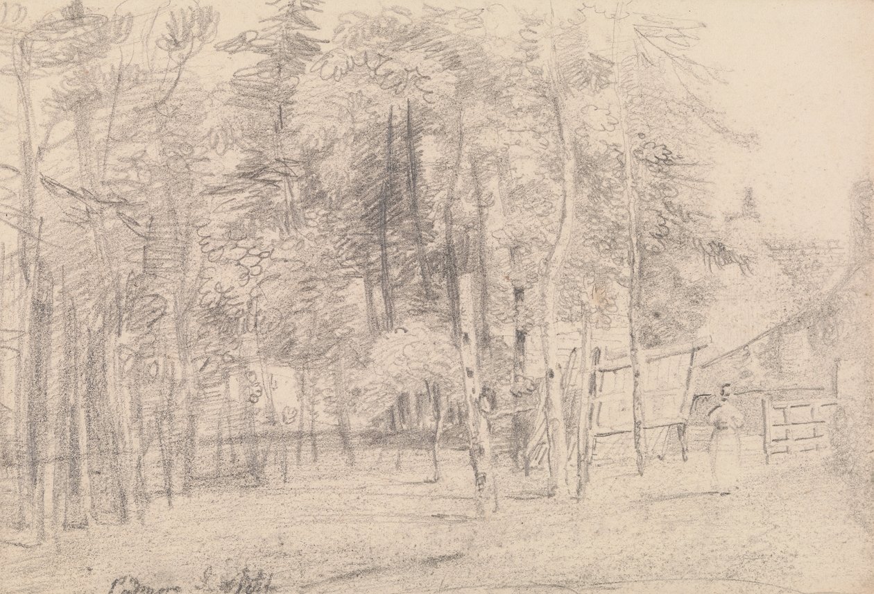 Padmore, Isle of Wight av Capt. Thomas Hastings