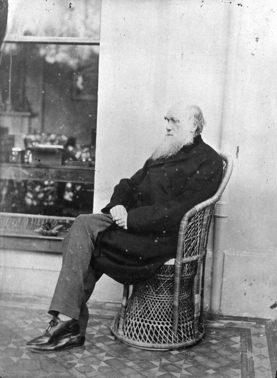 Charles Darwin av Captain L. Darwin