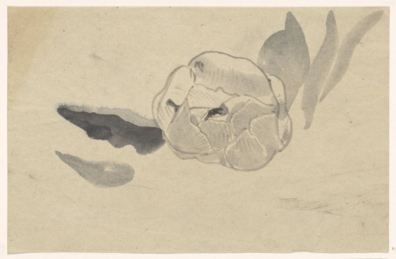 Blomsterstudie av Carel Adolph Lion Cachet