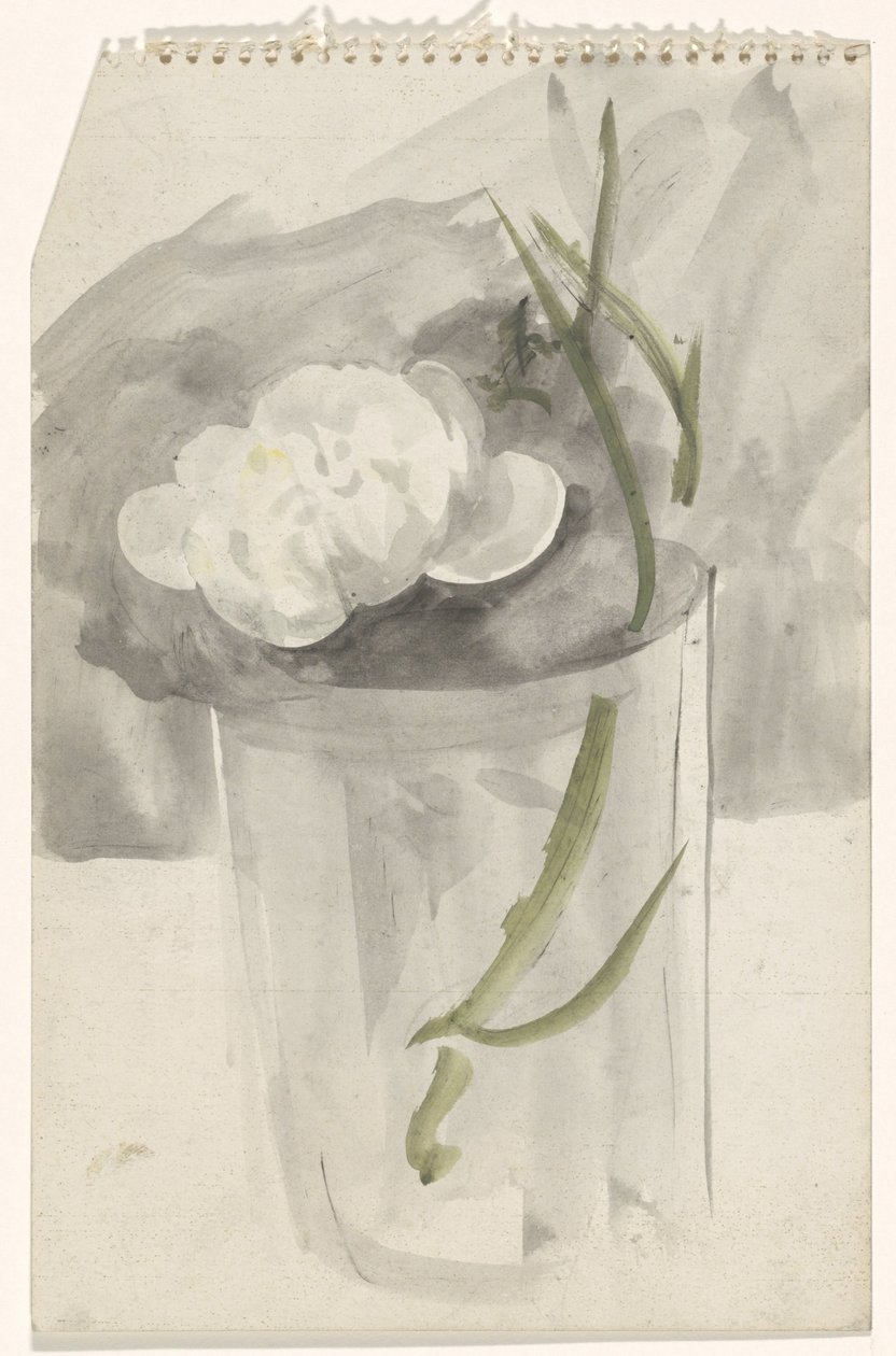 Hvit blomst i et glass av Carel Adolph Lion Cachet