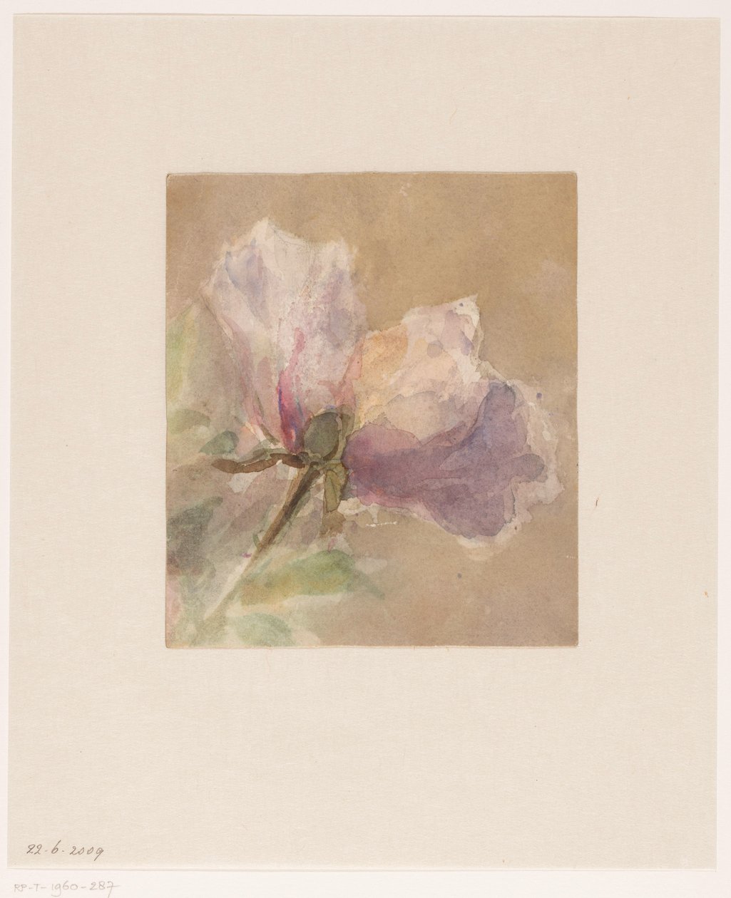 Visnet rose av Carel Nicolaas Storm van 