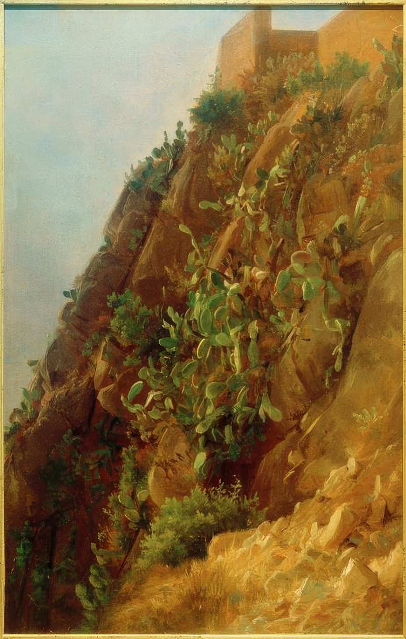 C. Morgenstern, Opuntia i en skråning på Capri av Carl Morgenstern