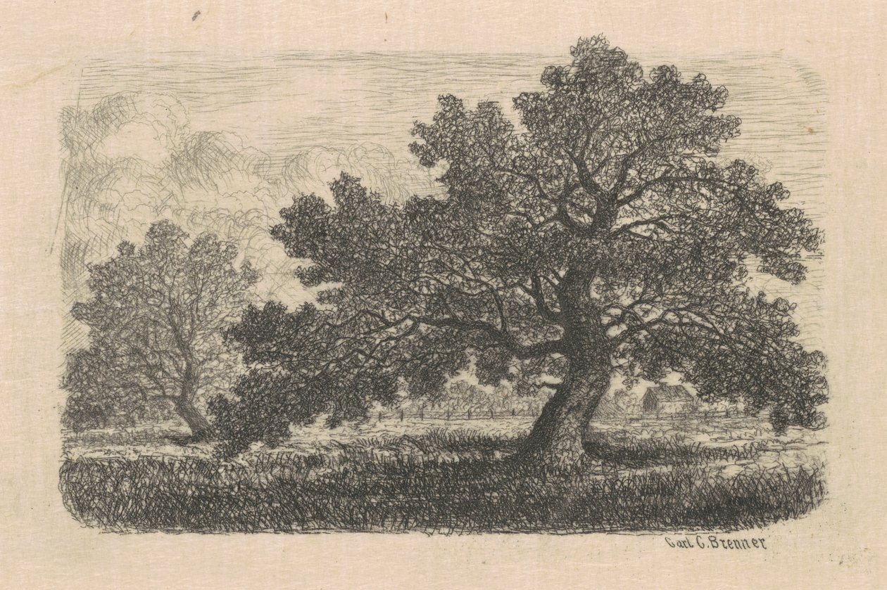 Epletrær av Carl C. Brenner