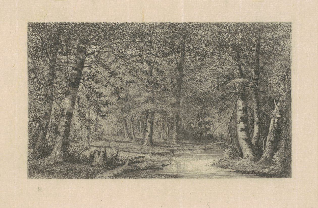 Bøkeskog av Carl C. Brenner