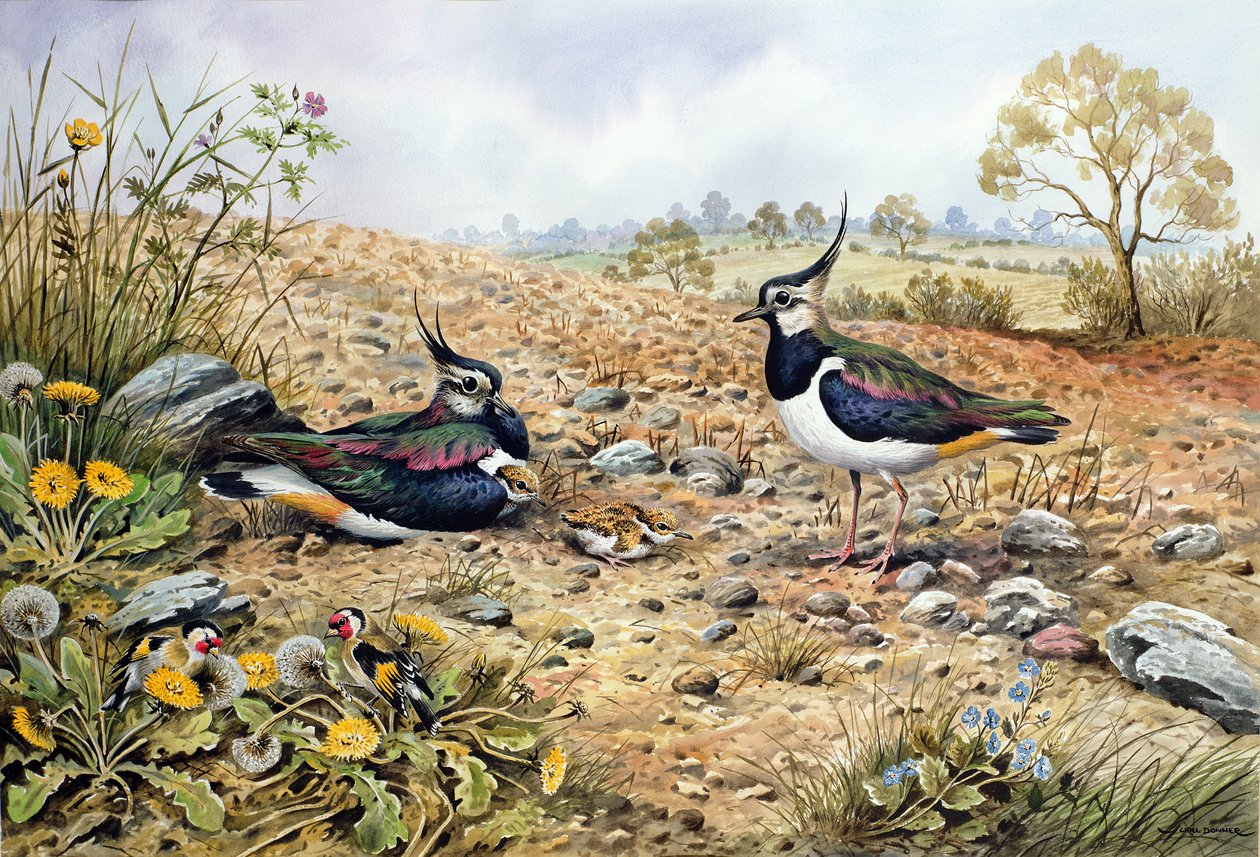 Vippefamilie med gullfinker av Carl Donner