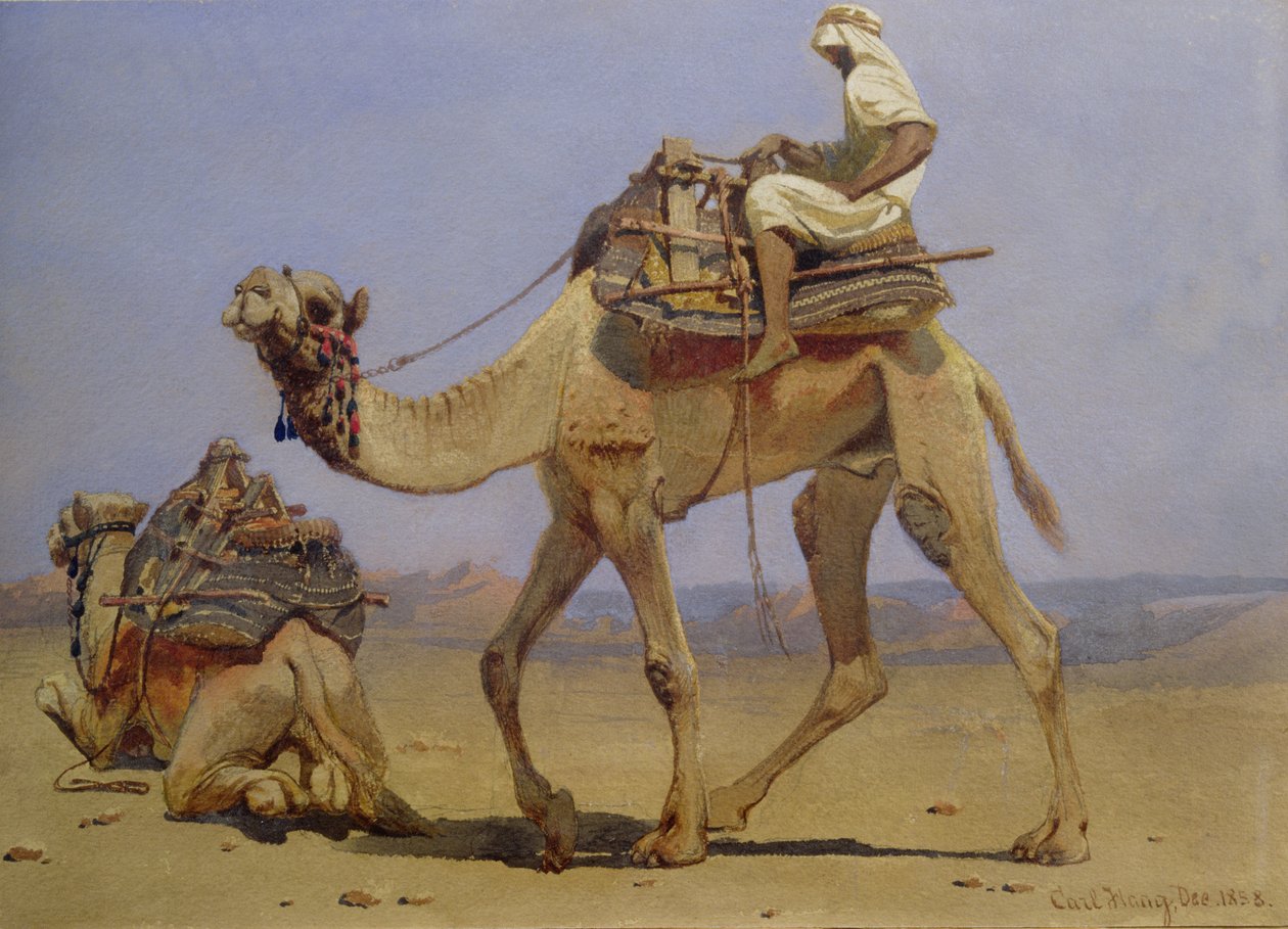Kamel forbereder seg på å legge seg ned, 1858 av Carl Haag