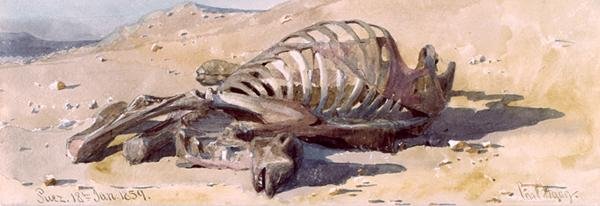 The Bones of a Camel, Suez av Carl Haag