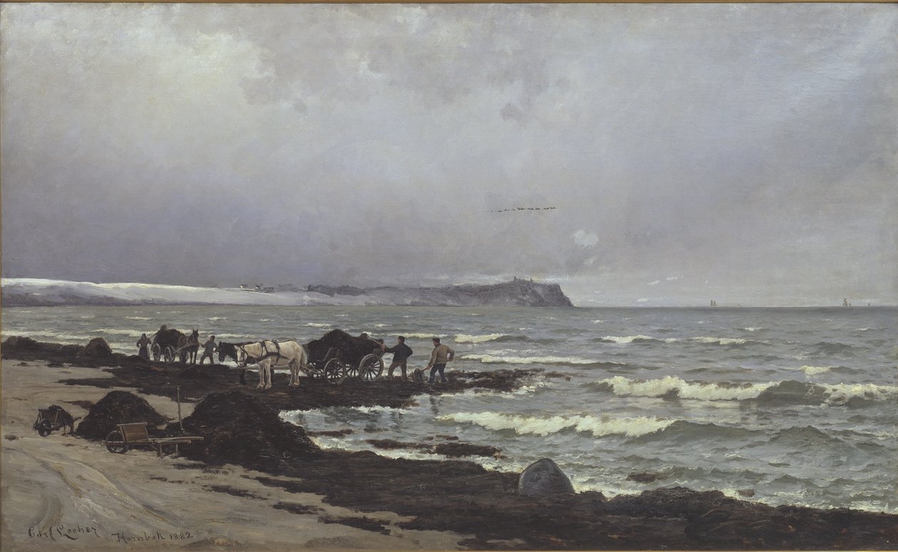 Det lastes tang ved Hornbæk Strand av Carl Locher