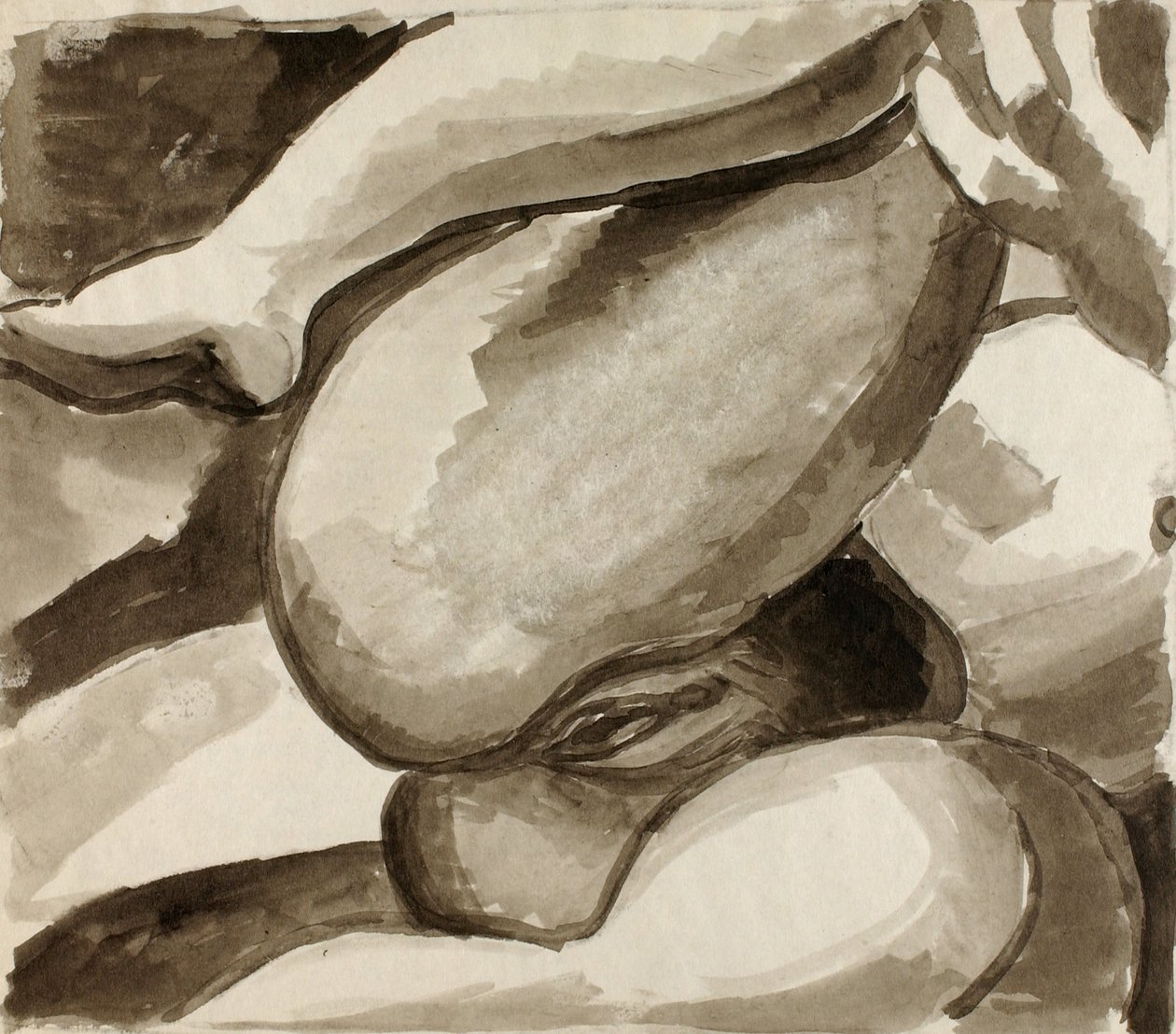  av Carl Newman