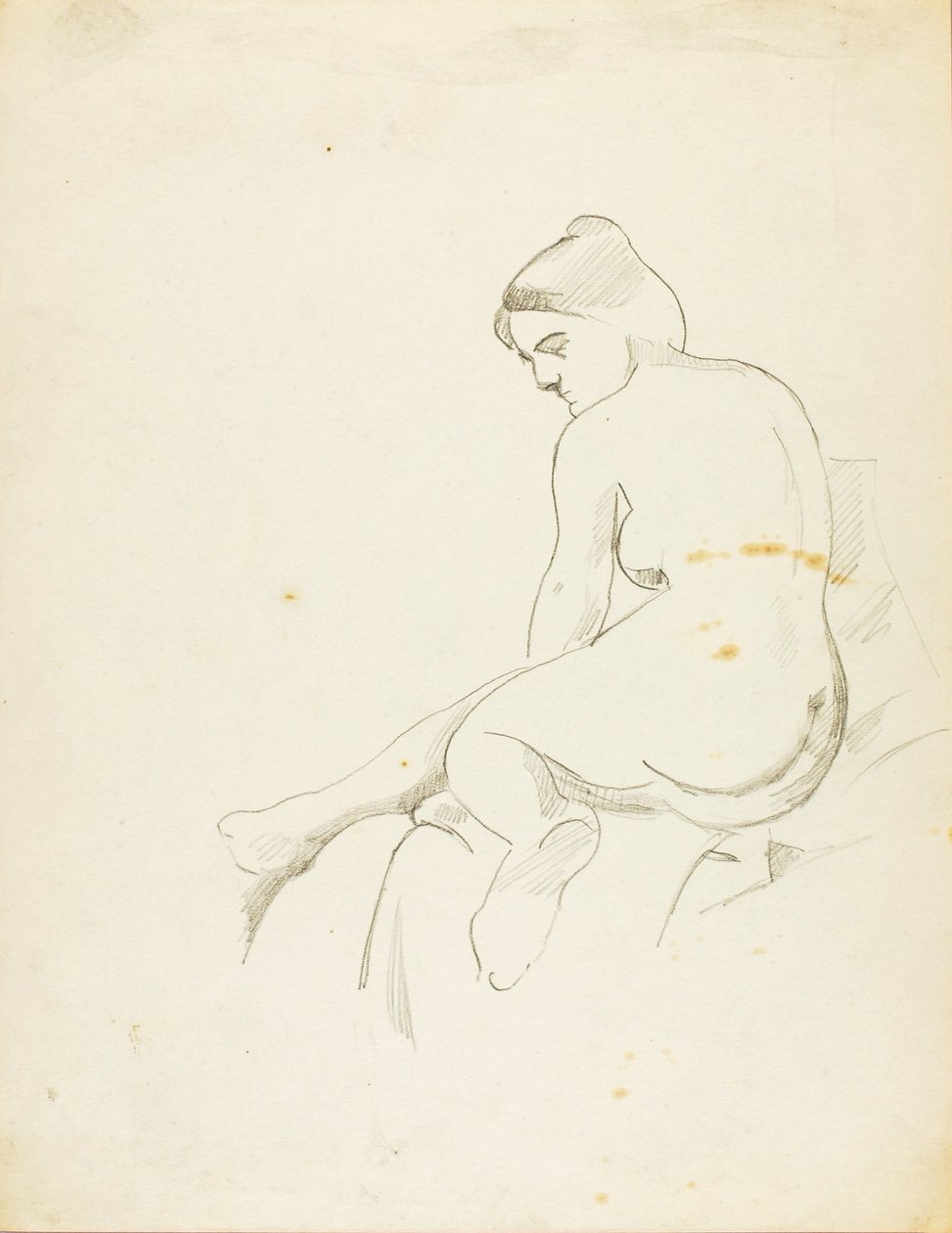  av Carl Newman