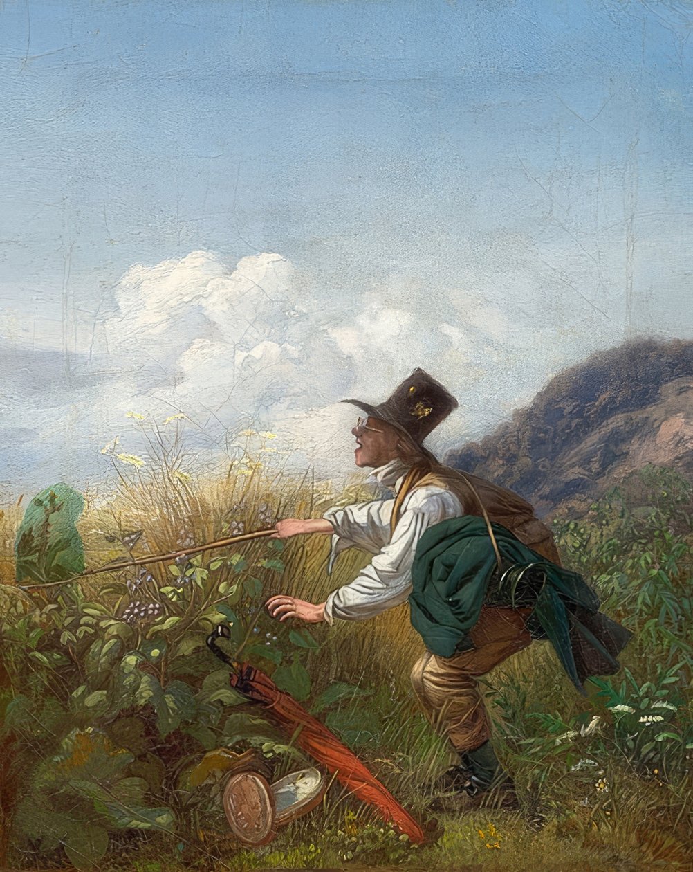 Sommerfuglfangeren (botaniker). Rundt 1837 av Carl Spitzweg