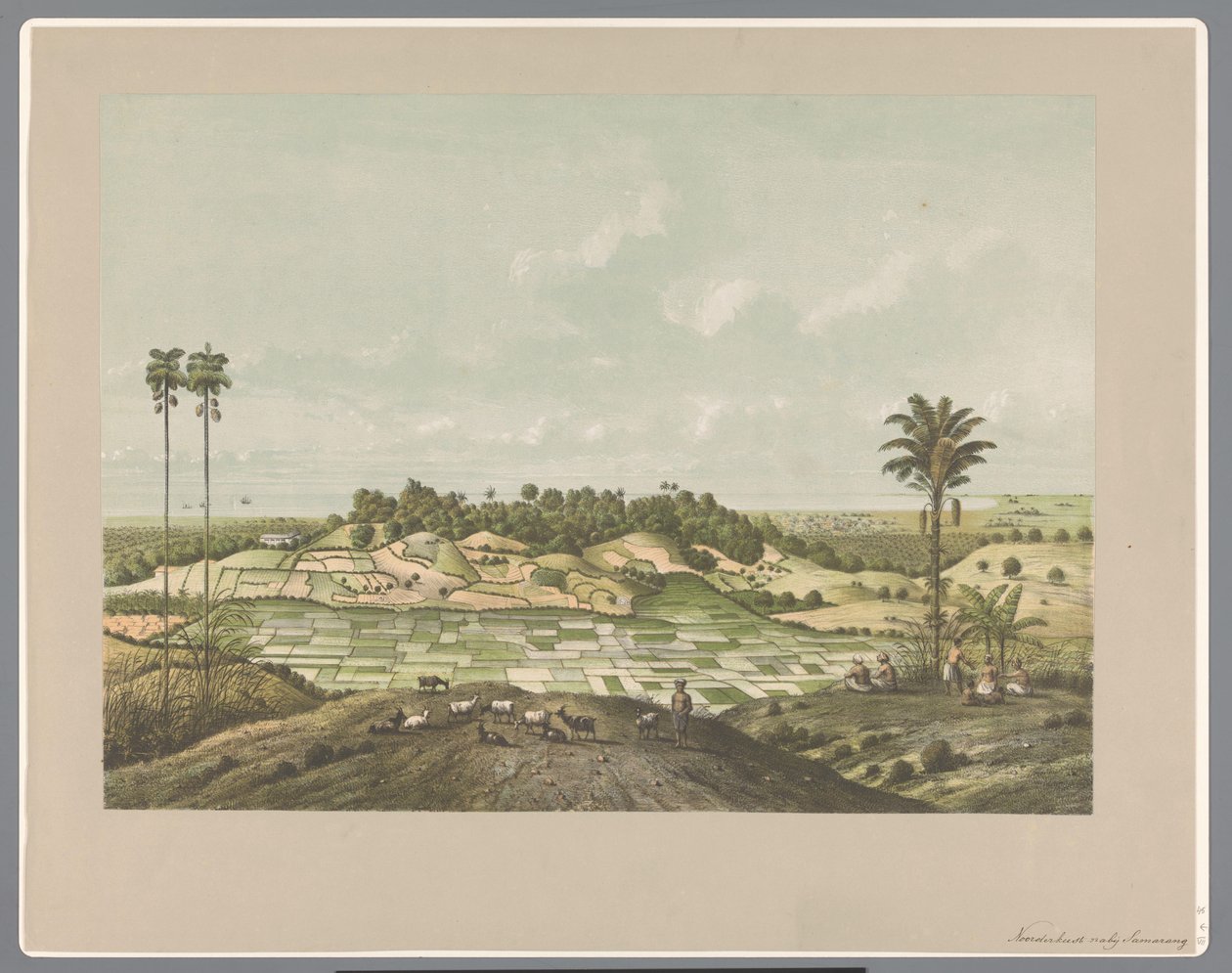 Nordkysten nær Semarang av Carl Wilhelm Mieling (possibly)