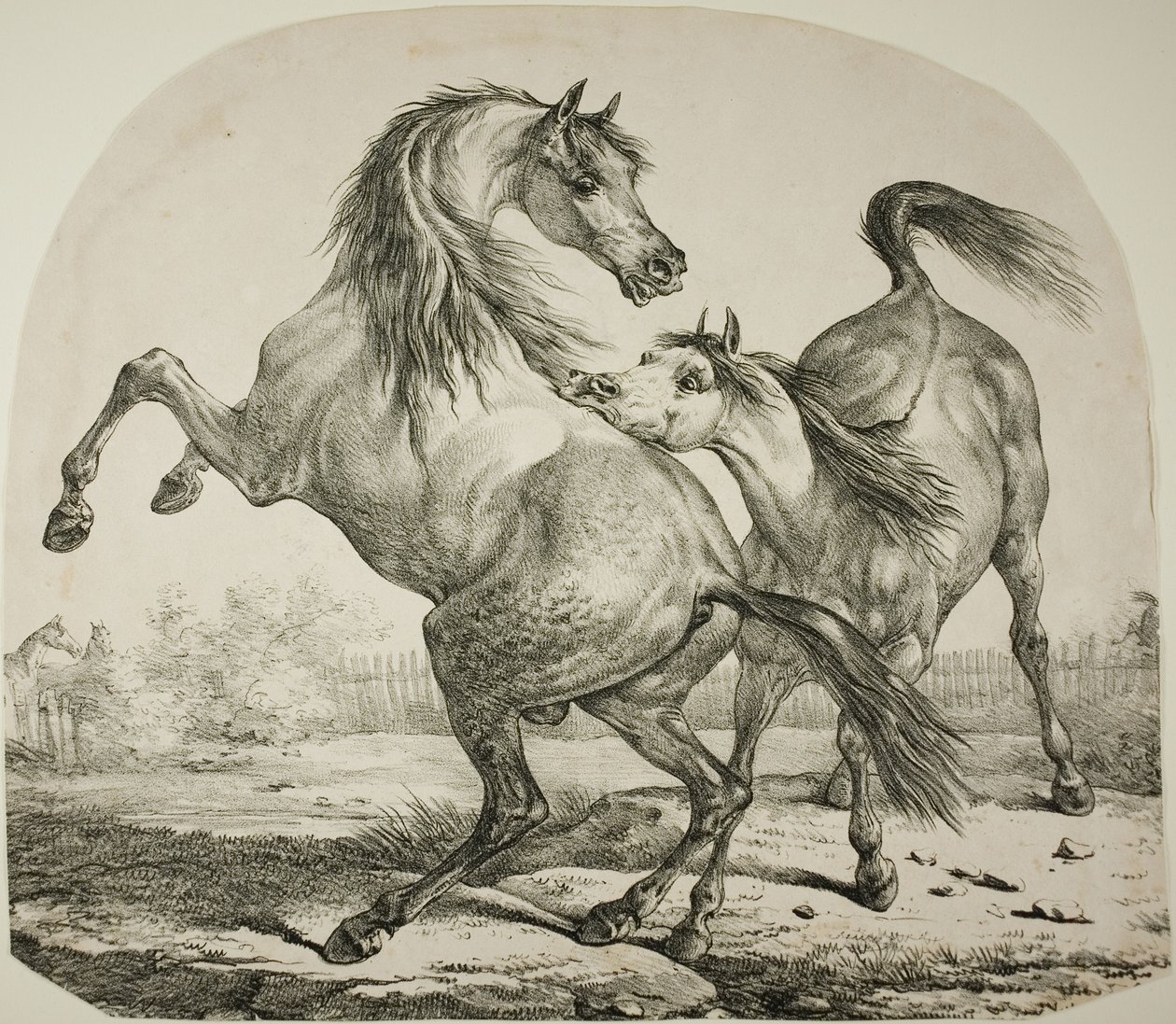 Villhester som kjemper av Carle Vernet