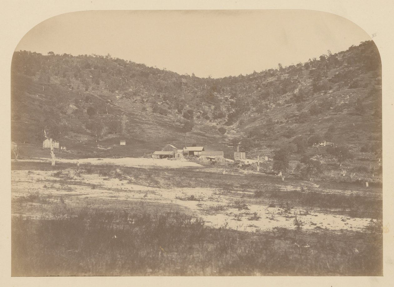 (Bear Valley Mill) av Carleton E. Watkins