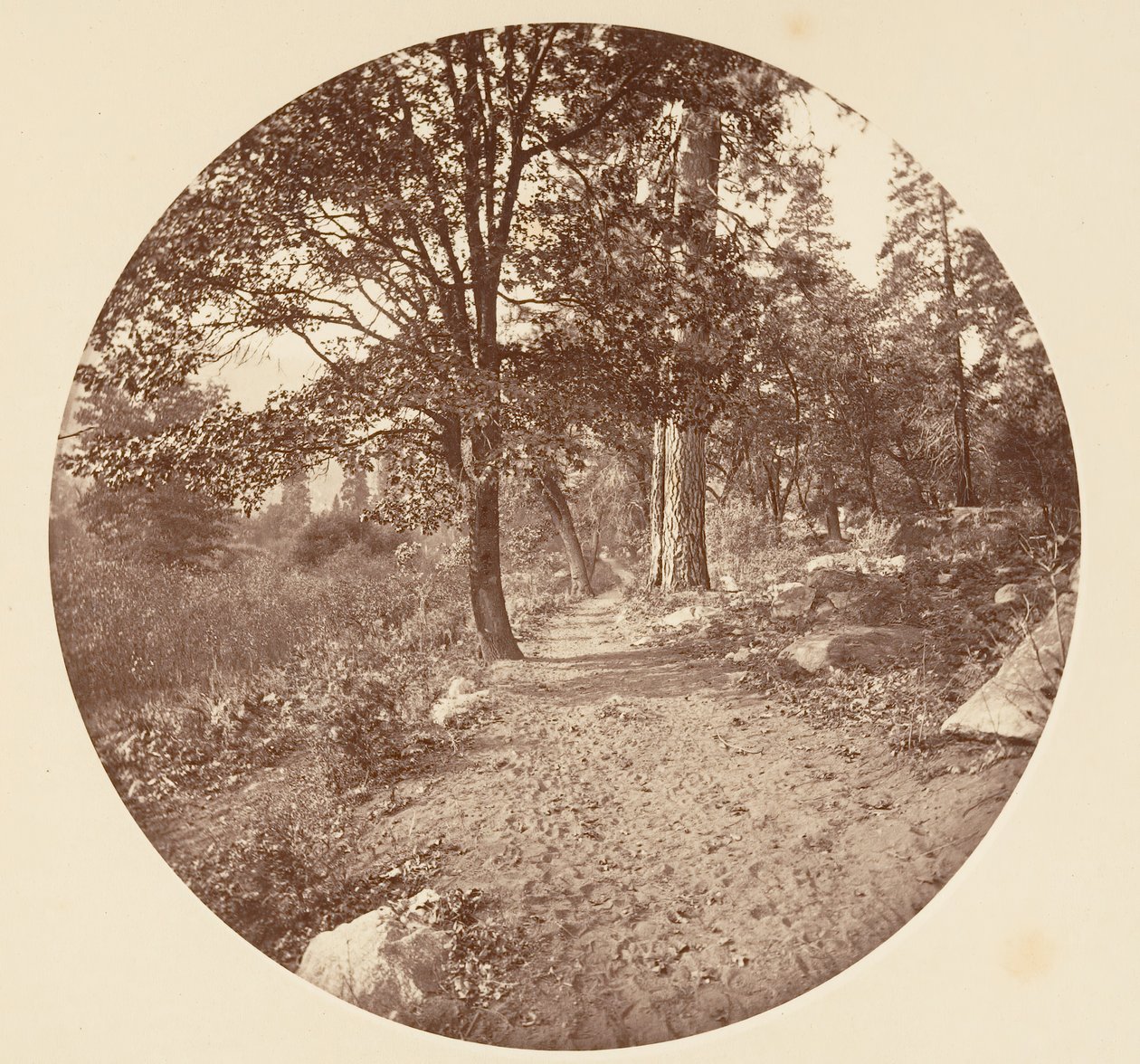 I Yosemite Valley, ca. 1878. av Carleton Emmons Watkins