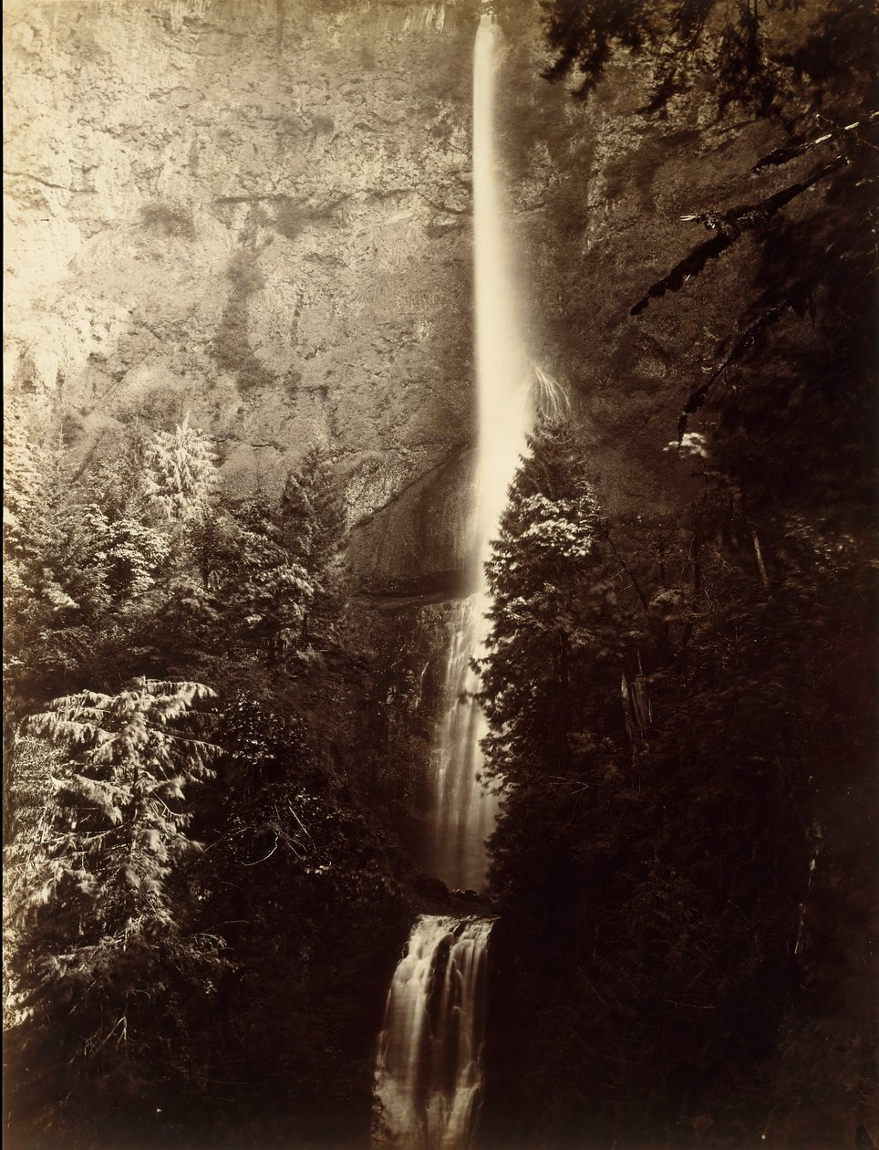 Multnomah Falls Cascade, Columbia River, 1867. av Carleton Emmons Watkins