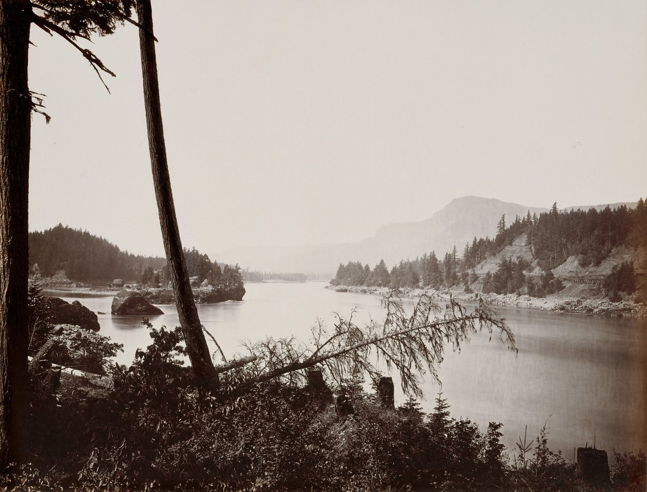 Utsikt over Columbia, Cascades, 1867. av Carleton Emmons Watkins