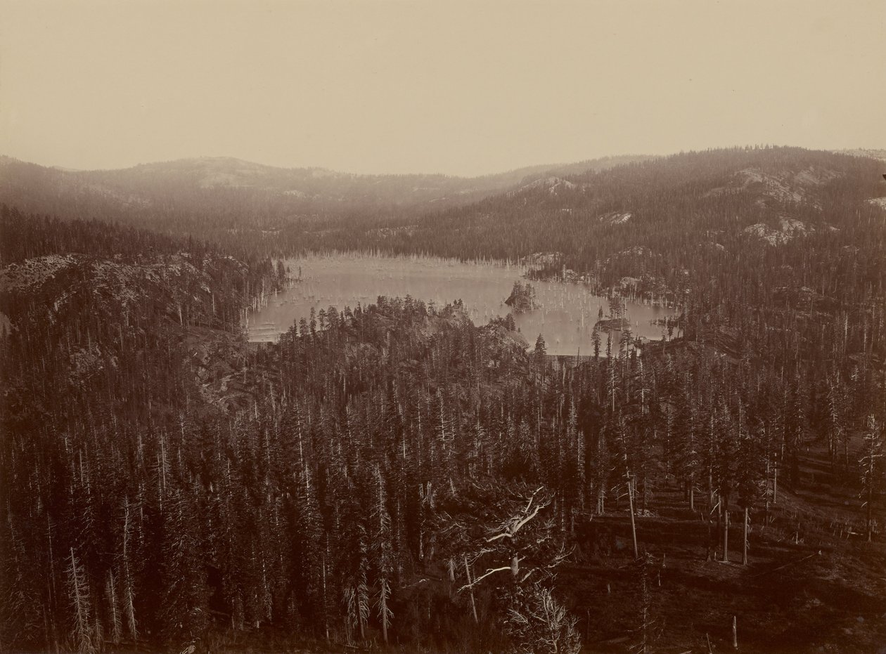 Dams and Lake, Nevada County, Distant View av Carleton Watkins