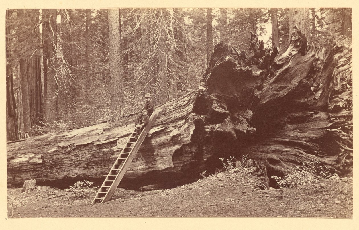  av Carleton Watkins