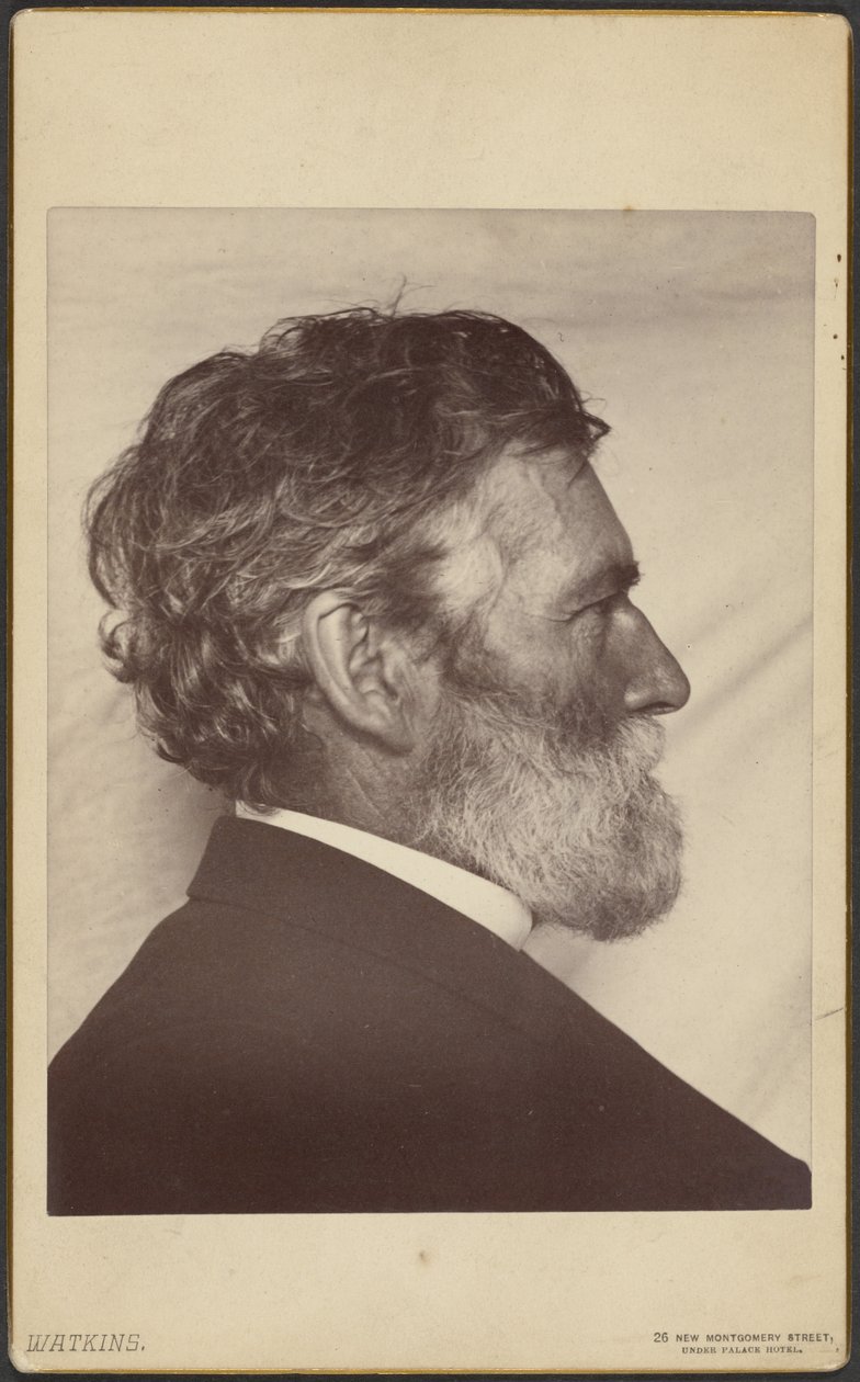  av Carleton Watkins