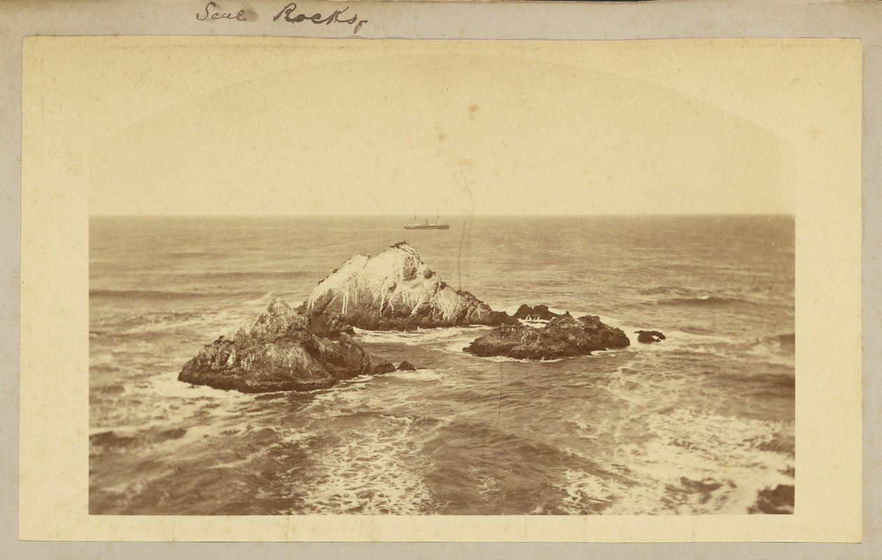  av Carleton Watkins