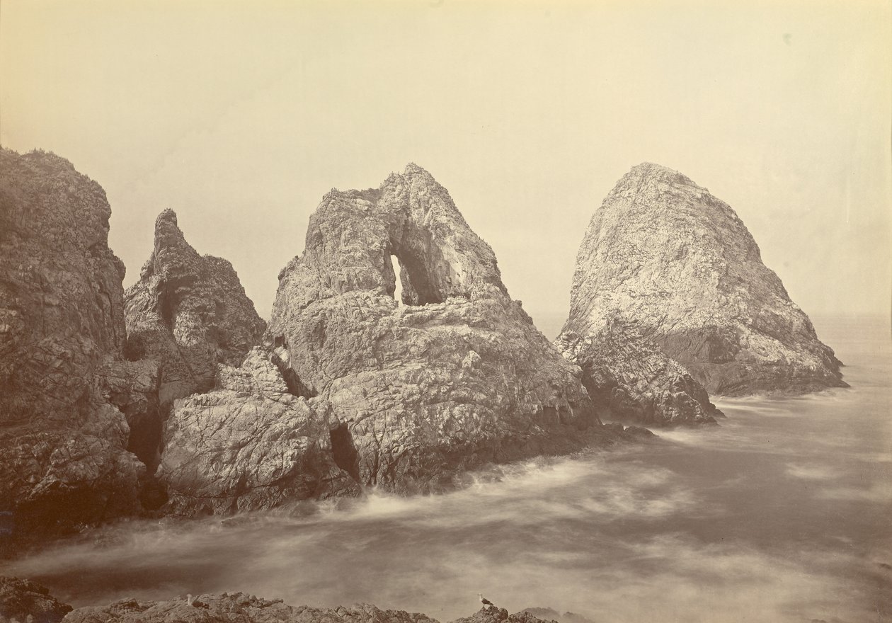 av Carleton Watkins
