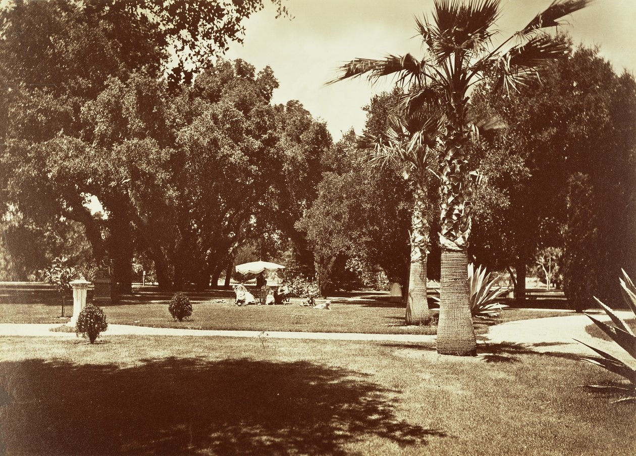  av Carleton Watkins