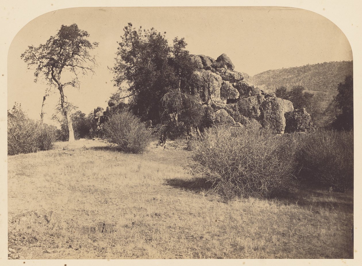  av Carleton Watkins