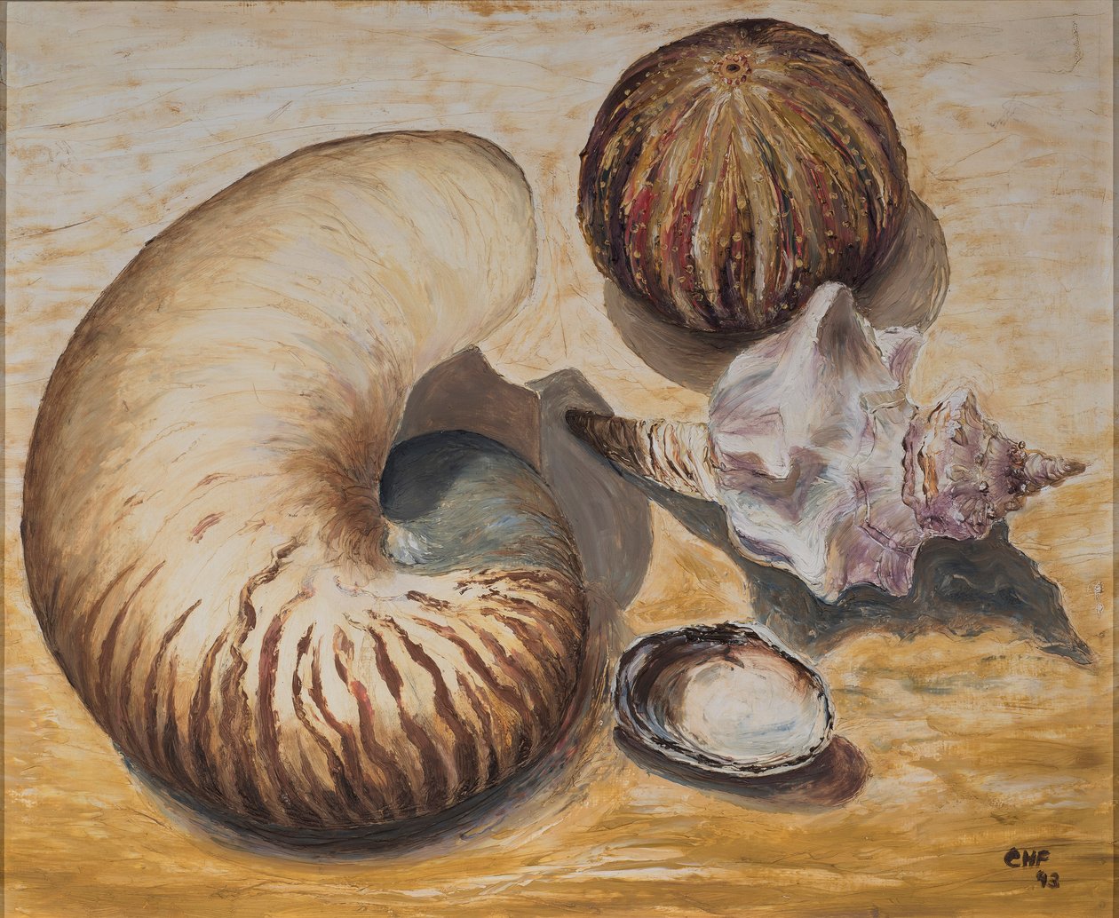 Seashells, 1993 (olje på papir) av Carolyn Hubbard Ford