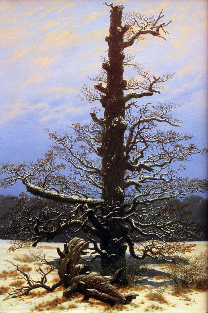 Eiketre i snøen av Caspar David Friedrich