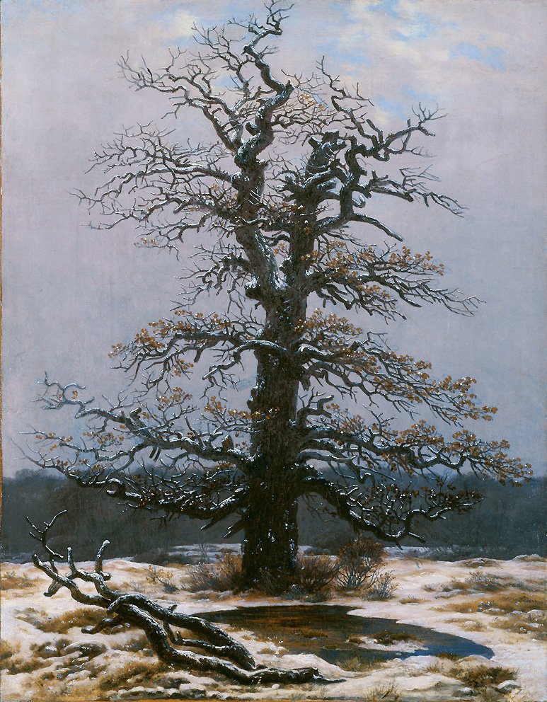Eik i snøen av Caspar David Friedrich