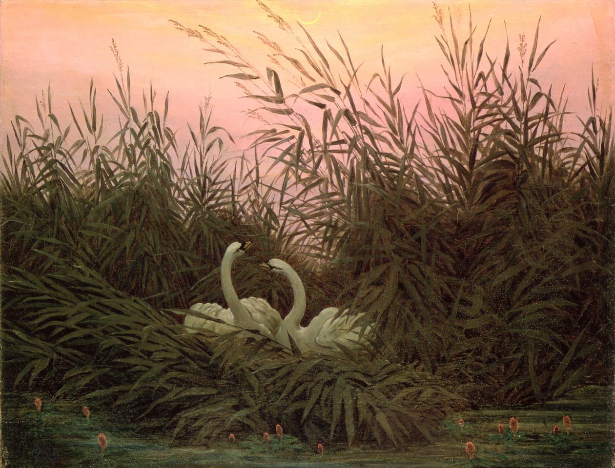 Swans in the Reeds, ca. 1820 av Caspar David Friedrich