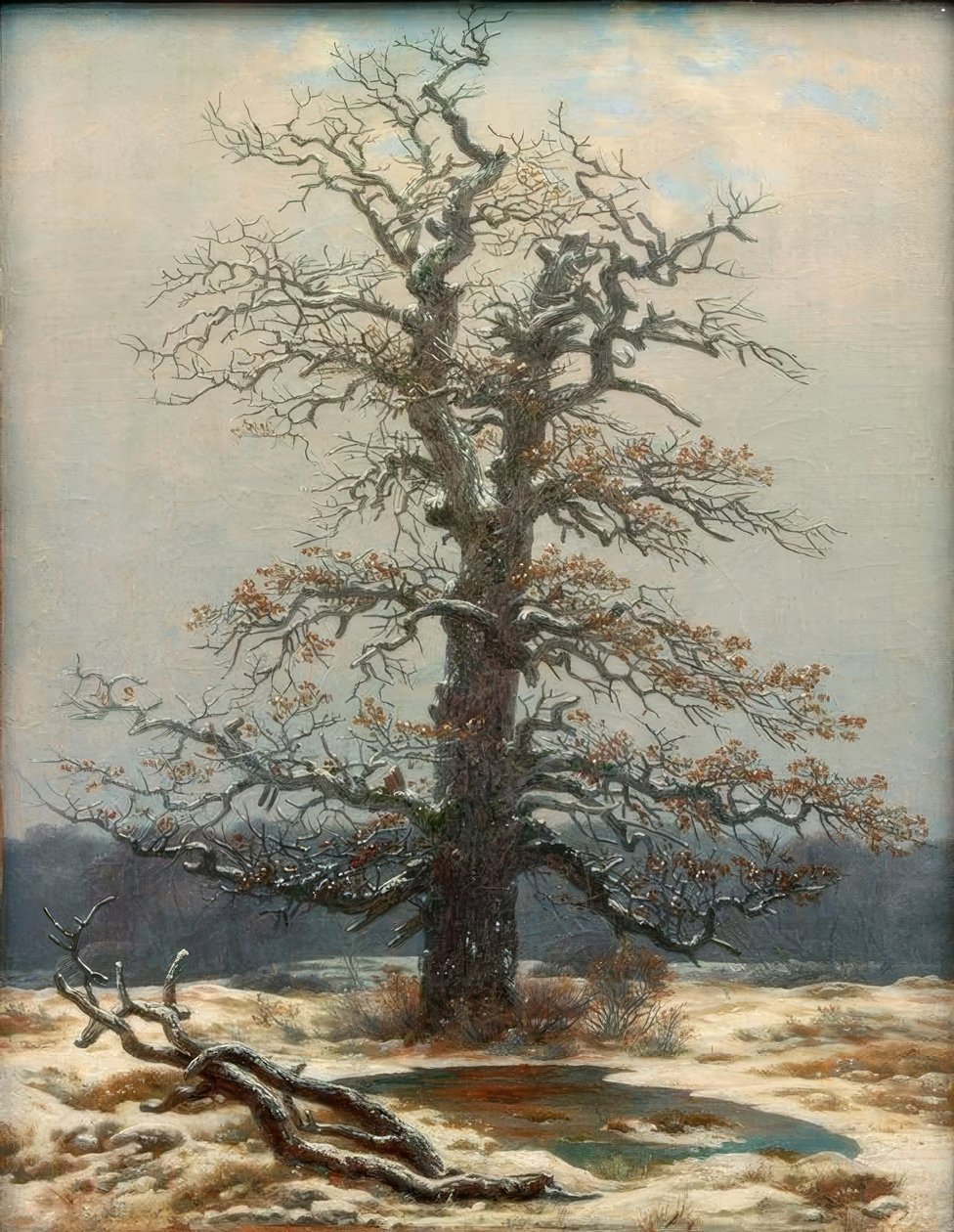Eiketre i snøen av Caspar David Friedrich