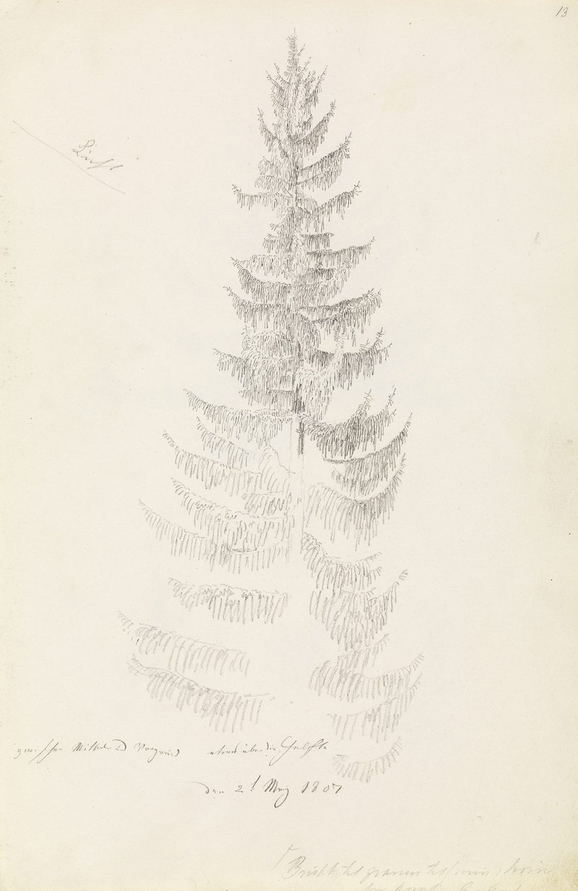  av Caspar David Friedrich