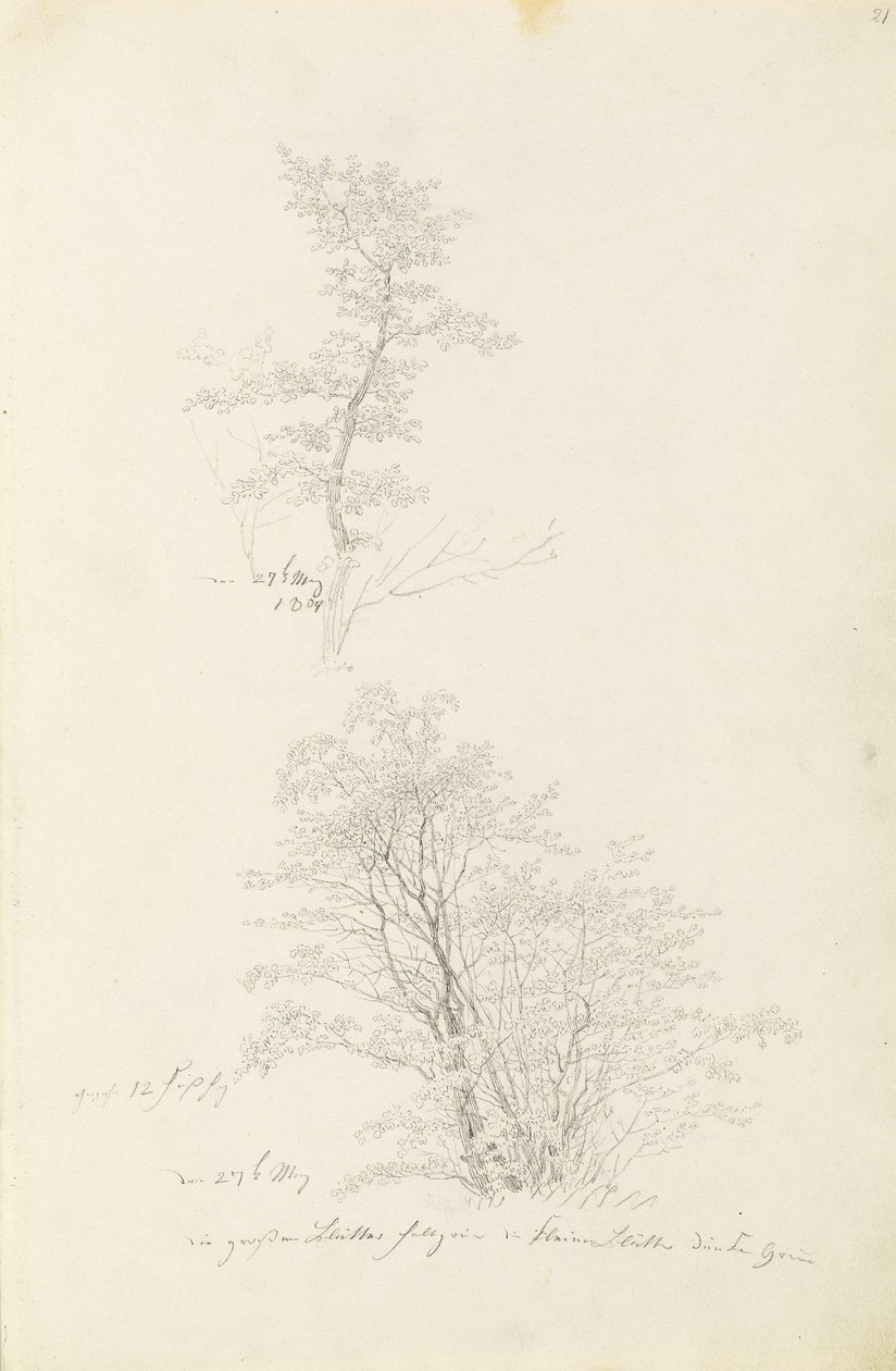 av Caspar David Friedrich