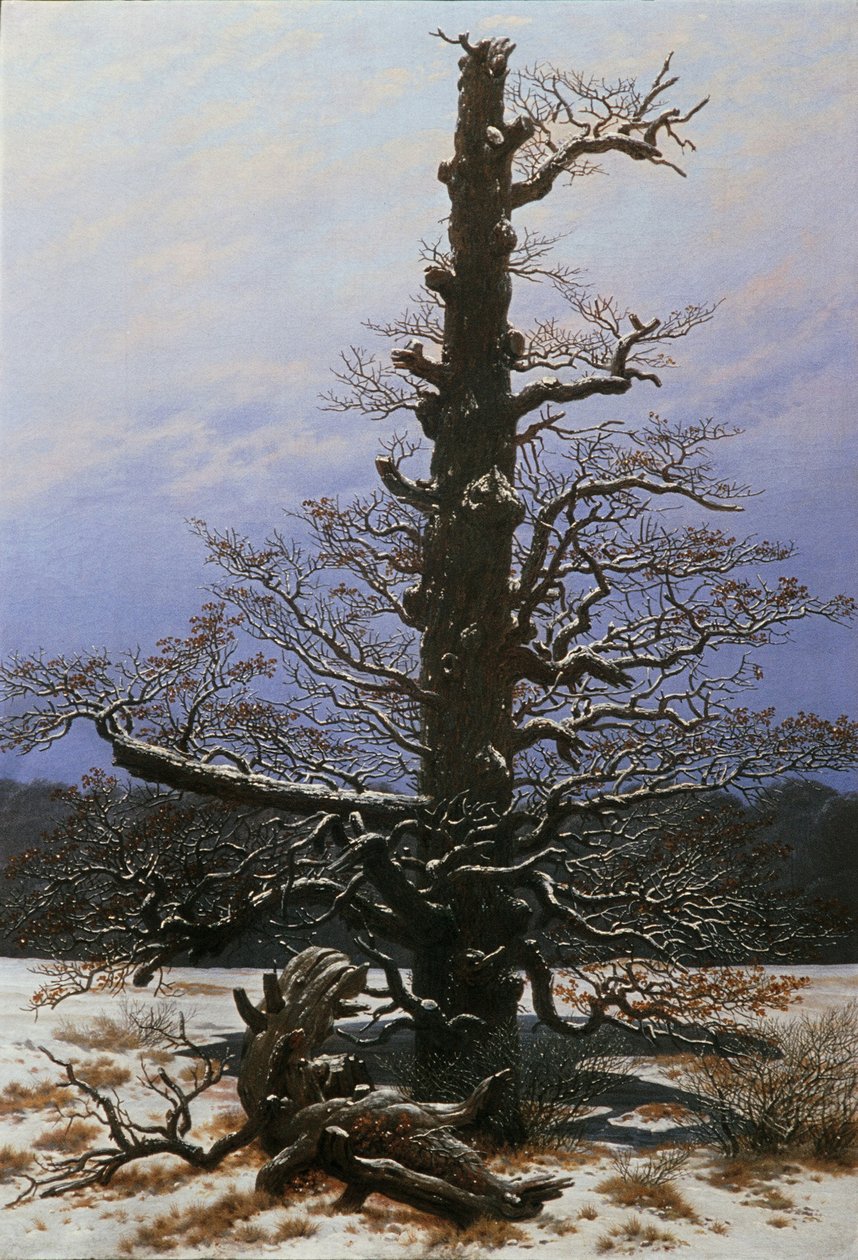 Eiketre i snøen av Caspar David Friedrich