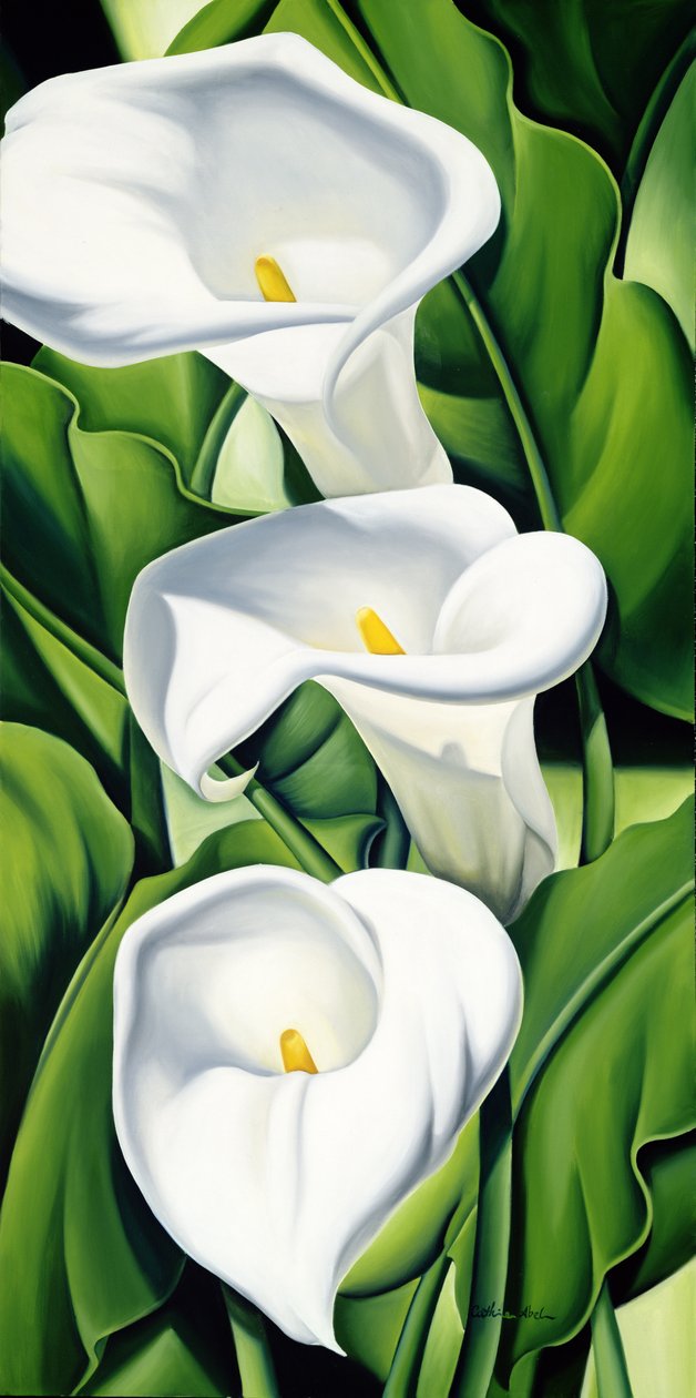 Liljer av Catherine Abel
