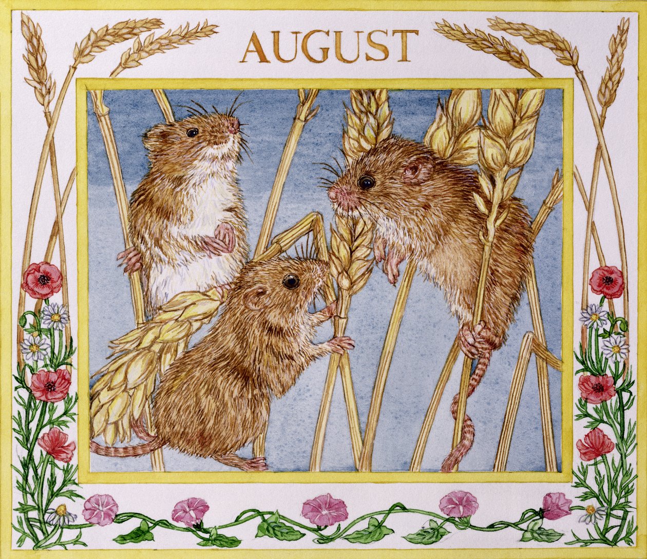 august (wc på papir) av Catherine Bradbury