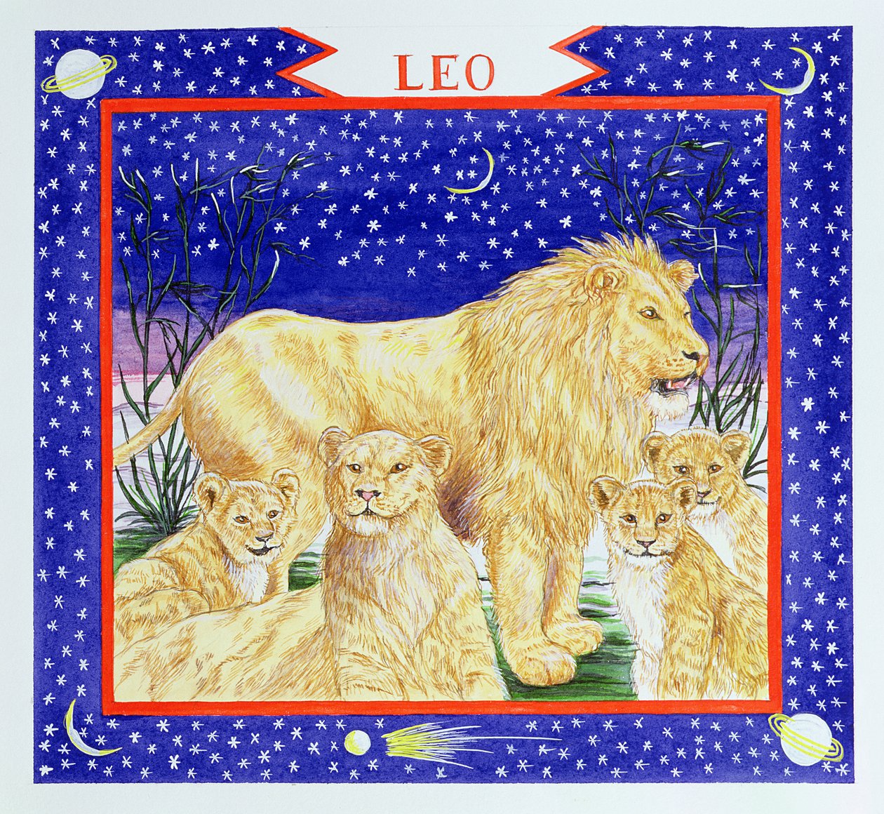 Leo (wc på papir) av Catherine Bradbury