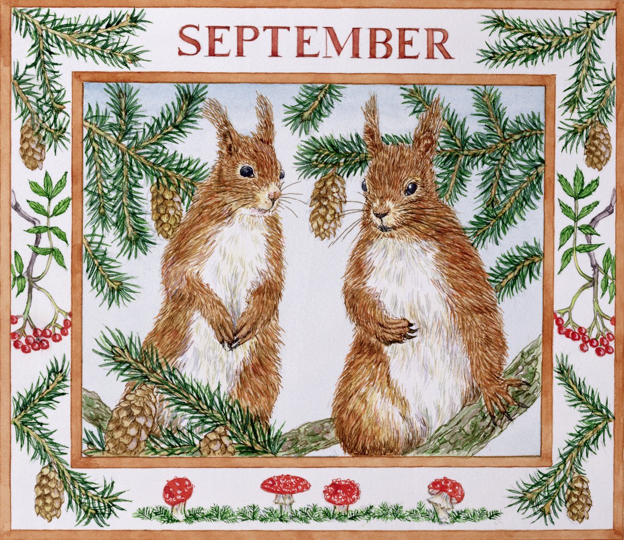 september (wc på papir) av Catherine Bradbury