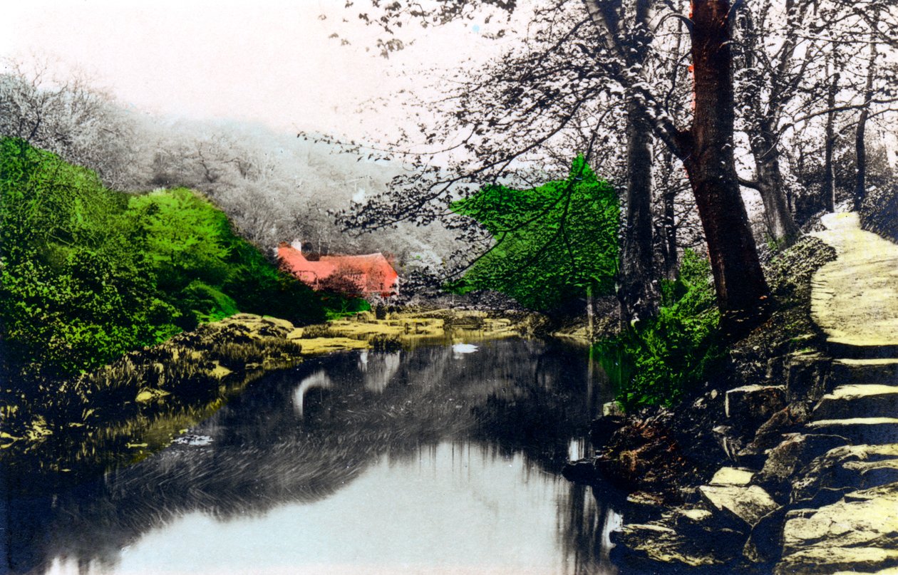 Jesmond Dene, Newcastle-upon-Tyne, Tyne & Wear, 1926. av Cavenders Ltd