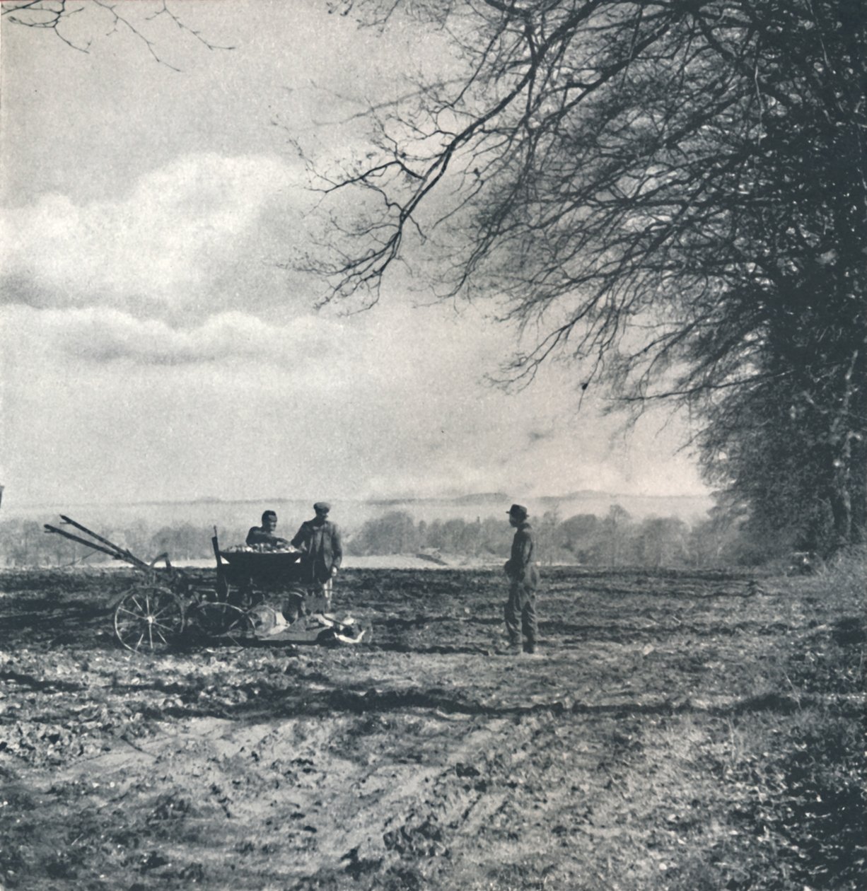 Langt til mark og fure, 1941 av Cecil Beaton